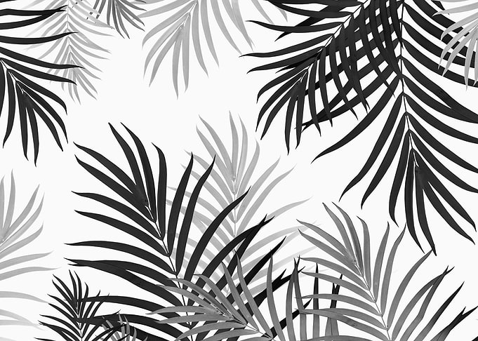 Palm Jungle 2 tropical