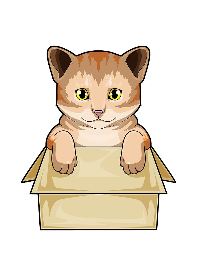 Cat Box