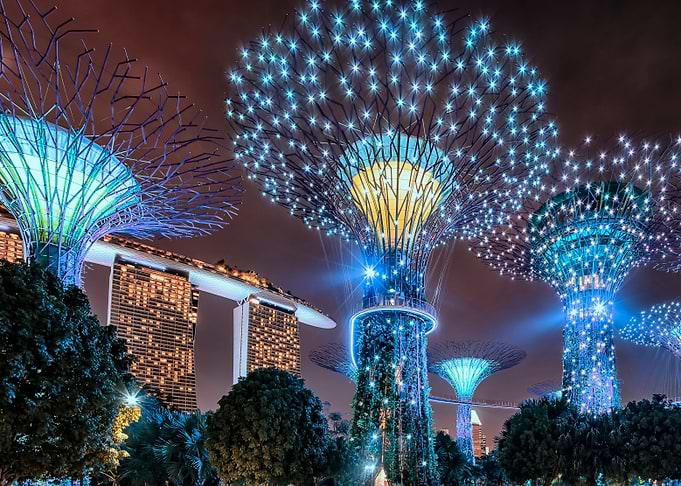 Supertree Grove