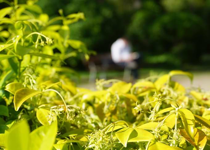 The Park Reader