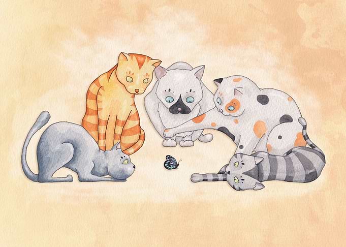 Cats and Butterfly
