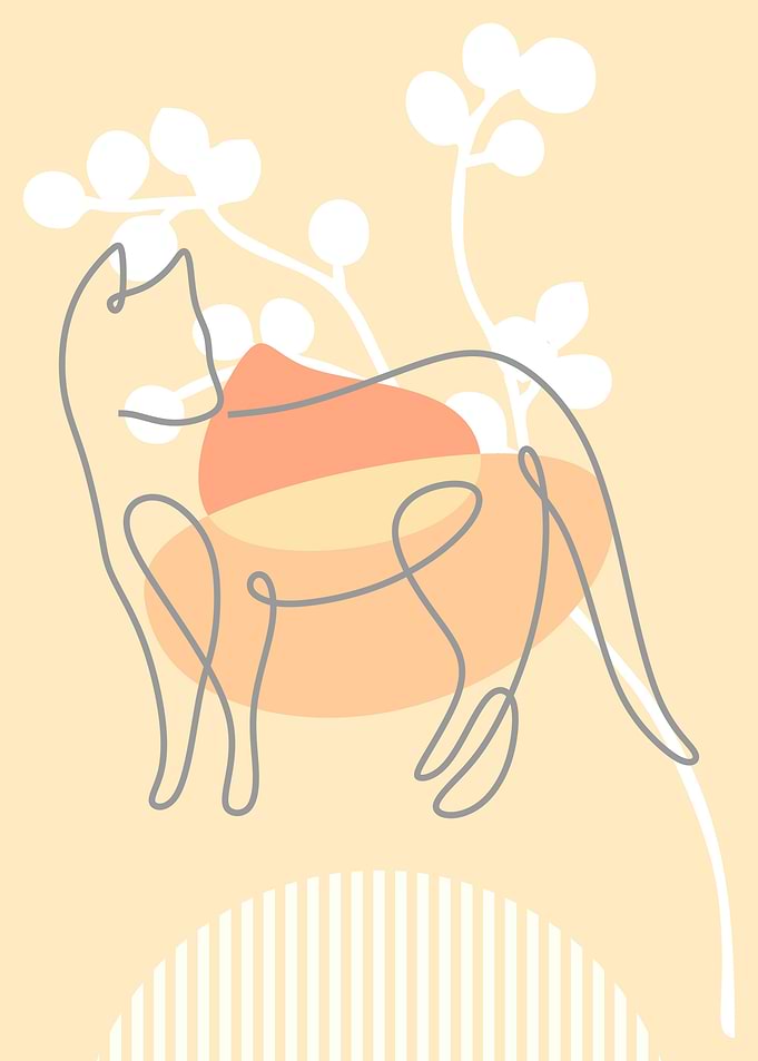 Line art animal minimalist