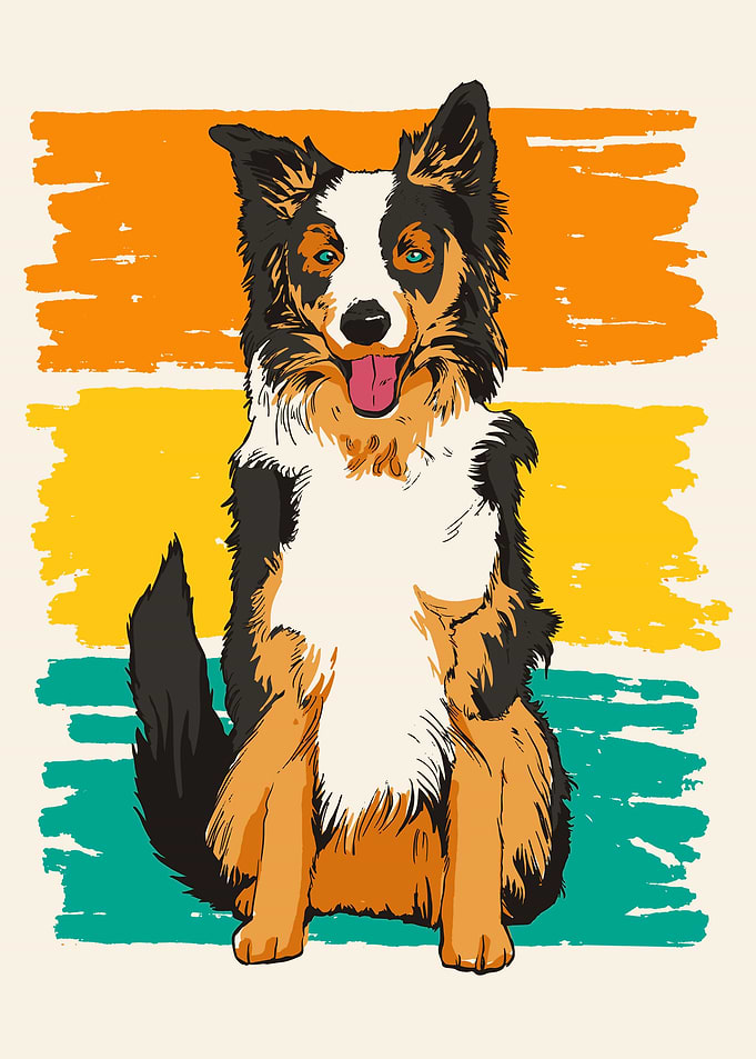 Funny Collie Dog