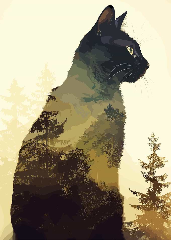 Animal Nature Cat Travel