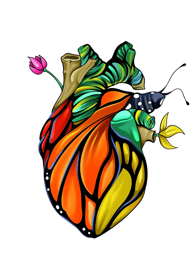 MONARCH HEART
