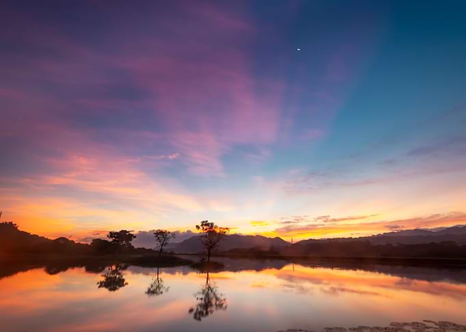 Sunrise lotus pond