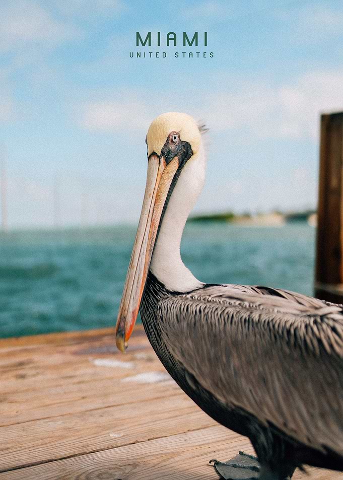 Miami