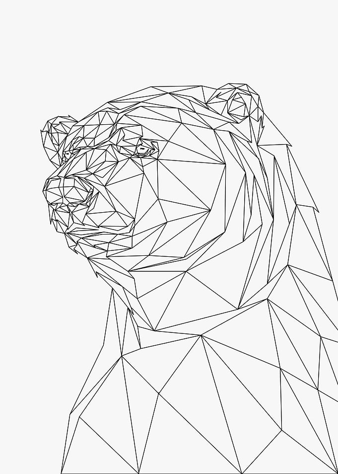 Polar Bear Poly Wireframe