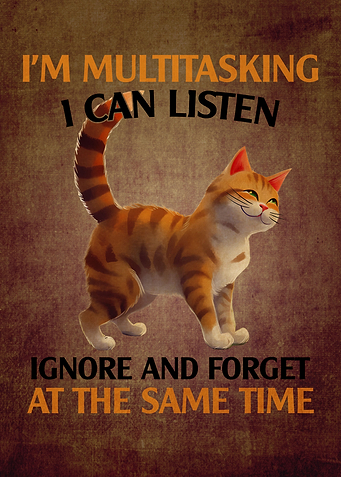 cat with funny quotes