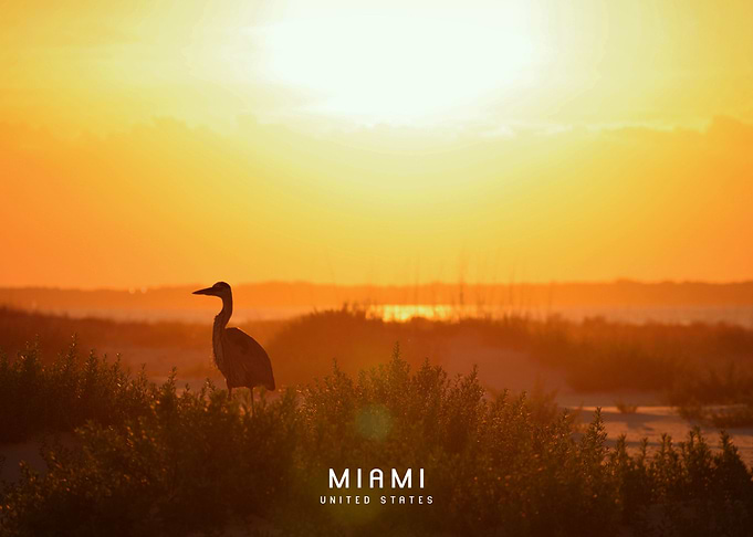 Miami