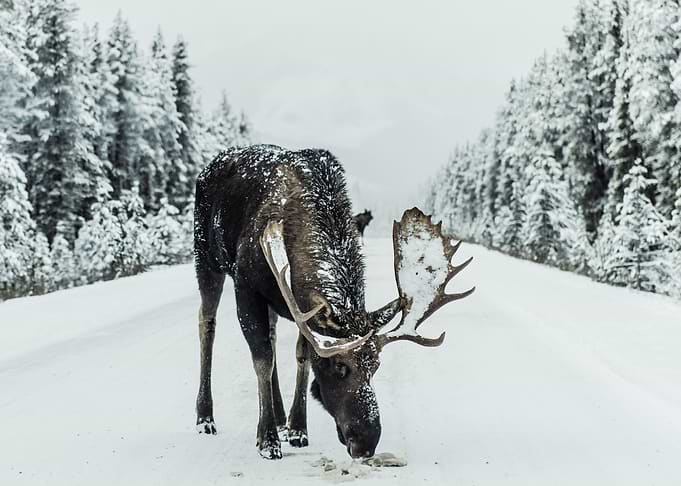 Landscape Photography