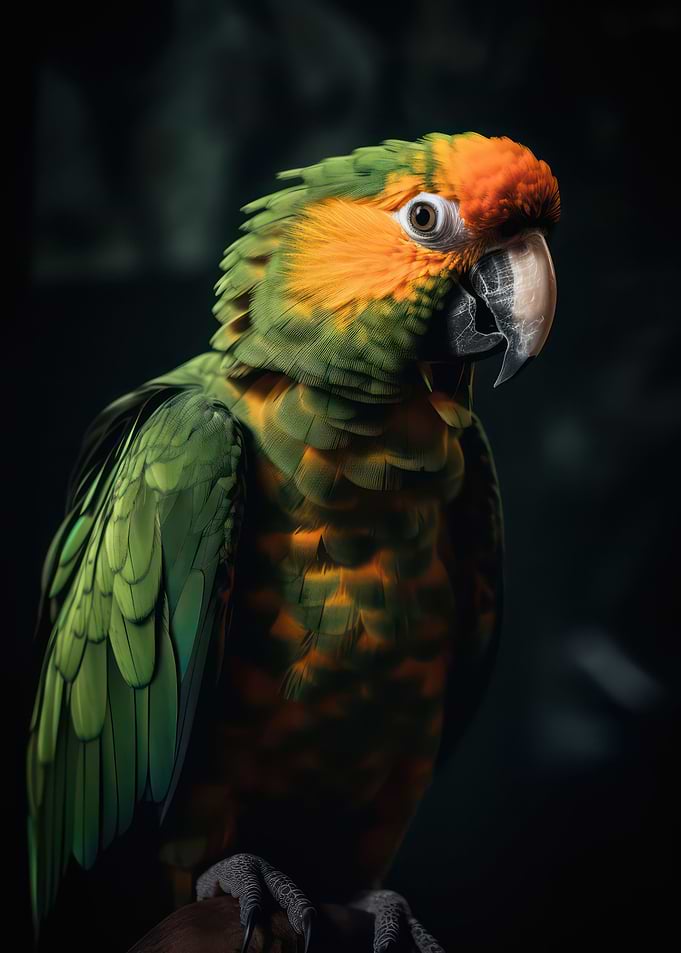Amazing parrot