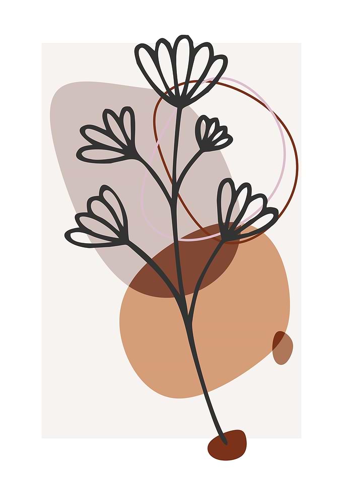 aesthetic abstract plant