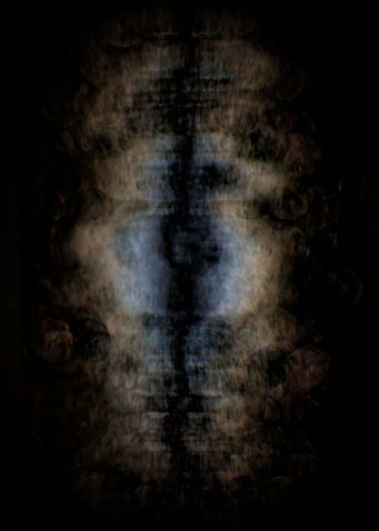 Imaginal Cells