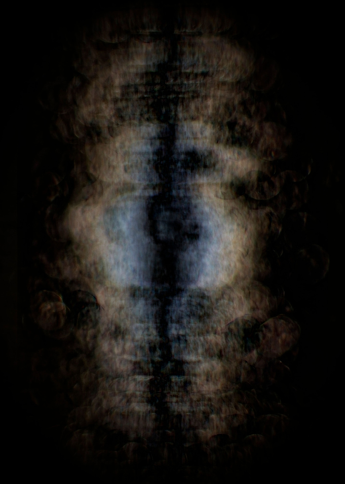 Imaginal Cells