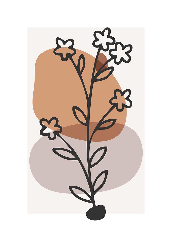 aesthetic abstract plant