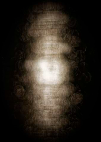 Cocoon