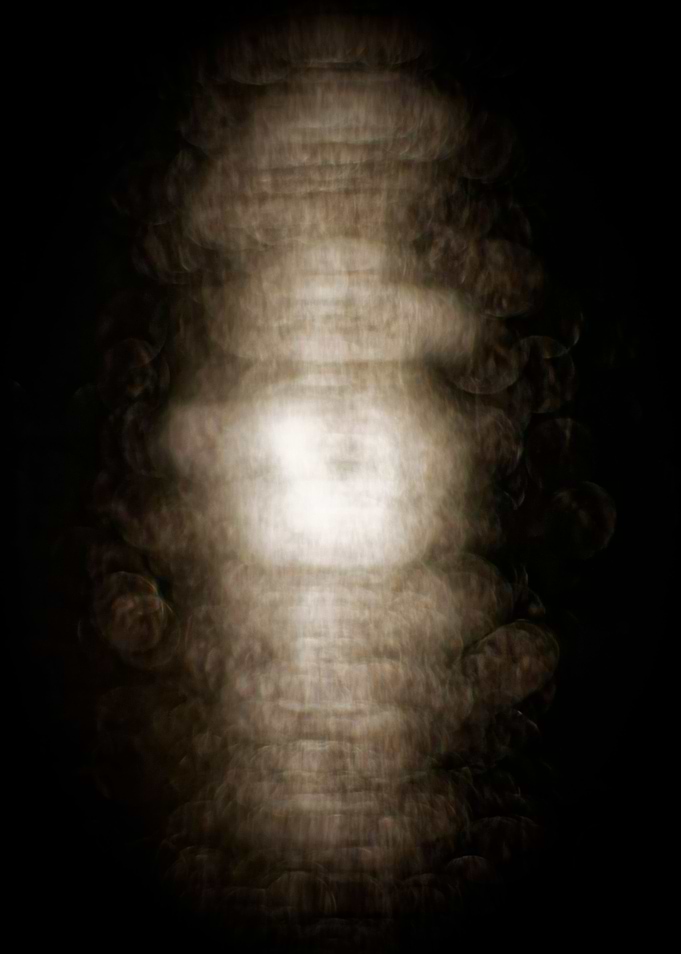 Cocoon