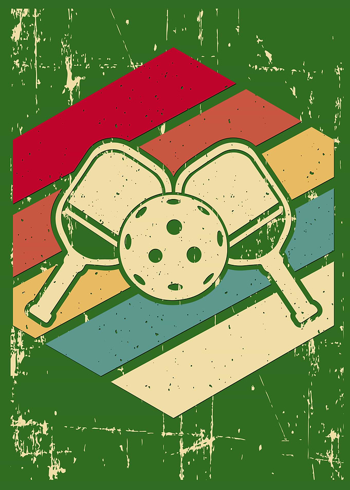 Great Pickleball gift