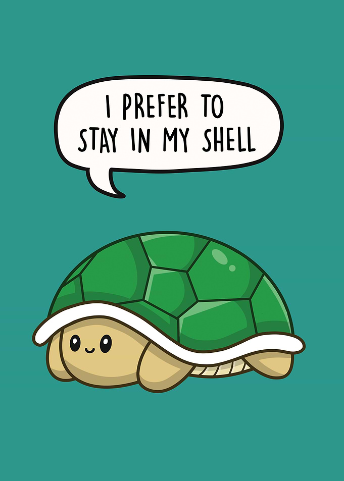 Introverted Turtle Shell