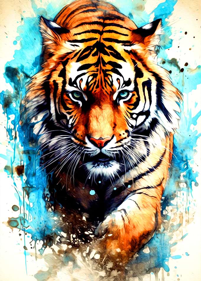 Tiger