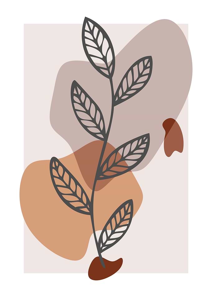 aesthetic abstract plant