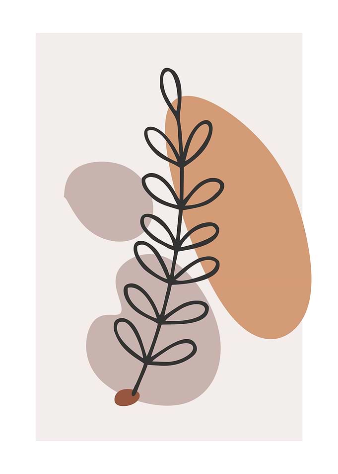 aesthetic abstract plant