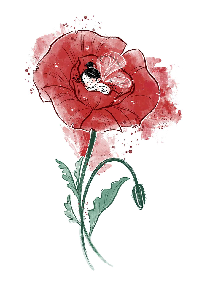 Fairy Poppy