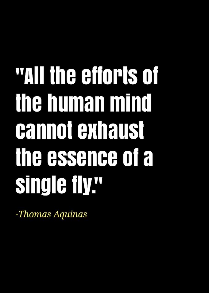 Thomas Aquinas quotes