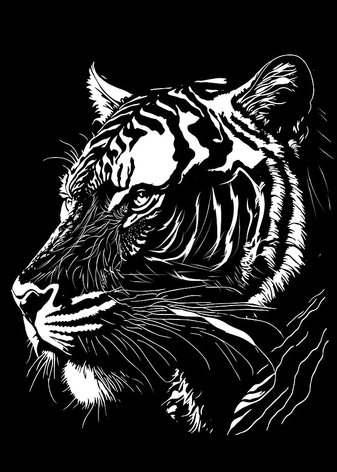 Tiger Power