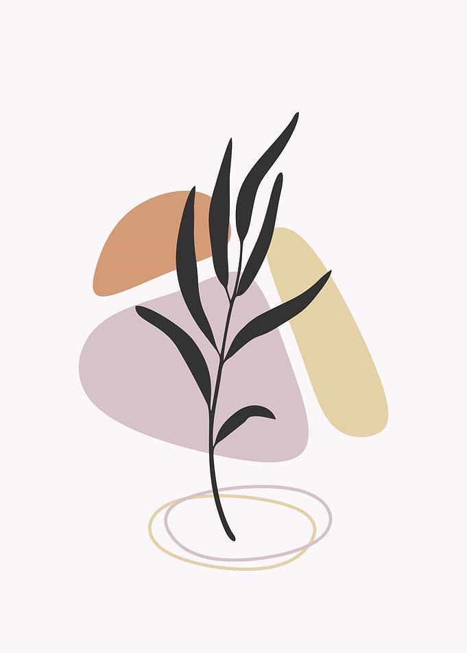 aesthetic abstract plant