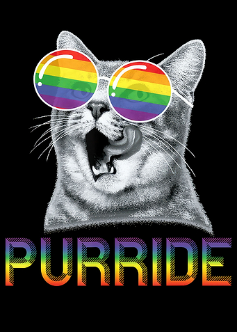 Funny Cat Gay Pride