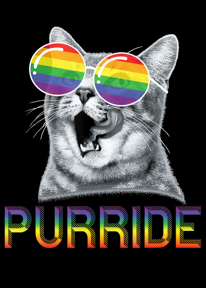 Funny Cat Gay Pride