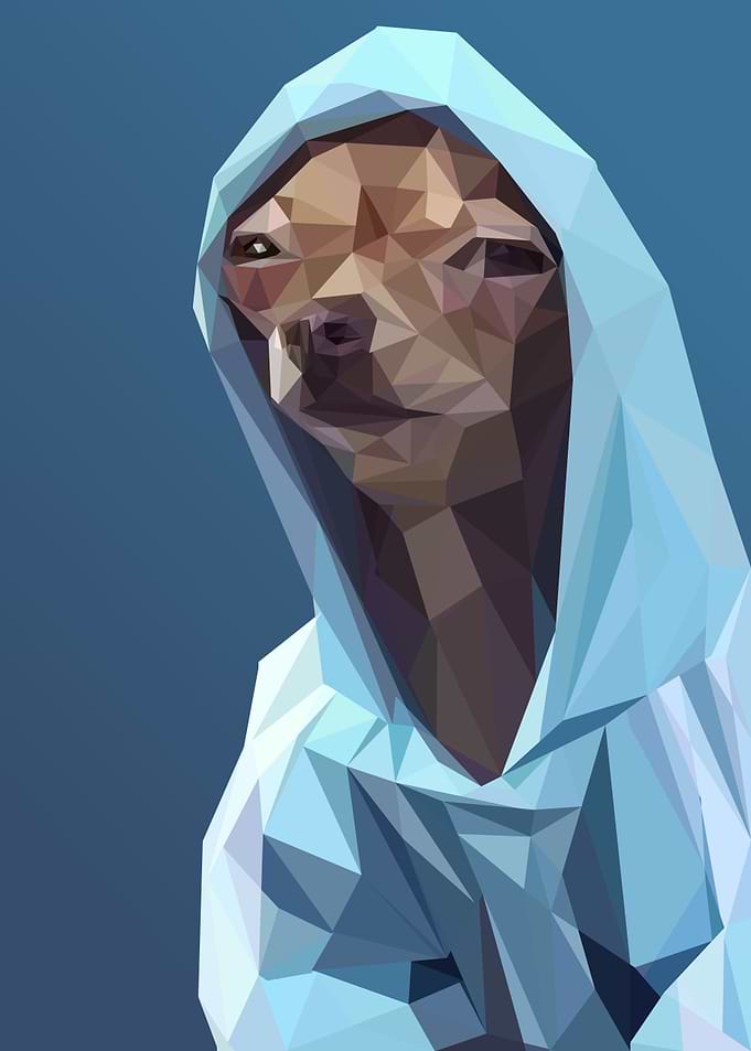 cihuahua wearing hoodie