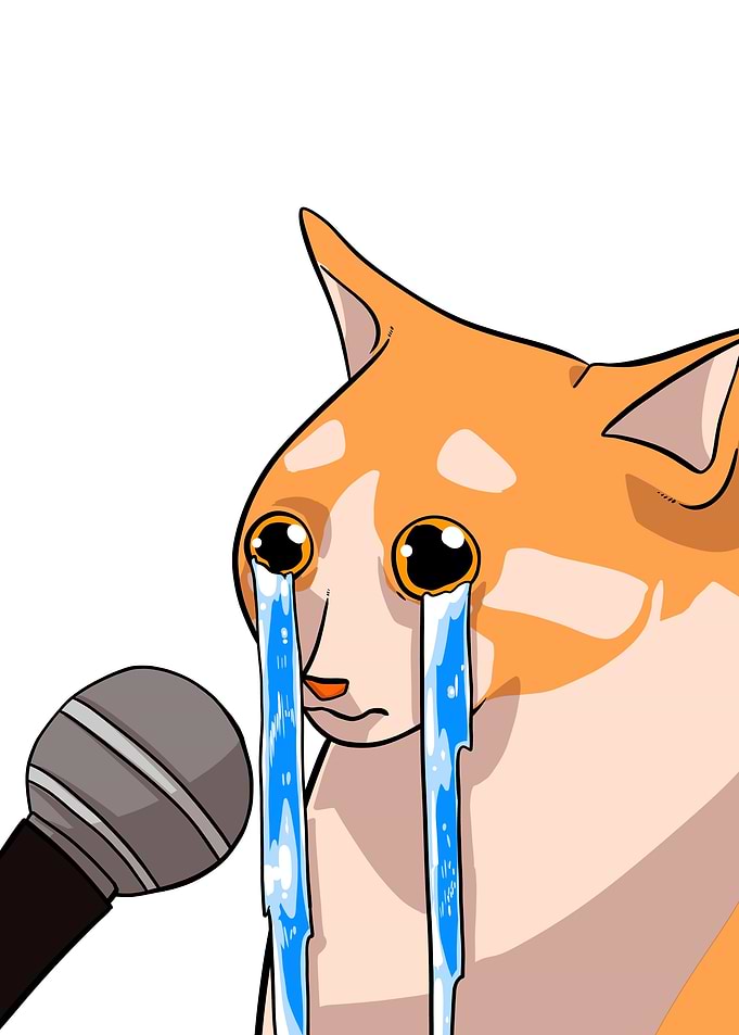 crying cat on mic