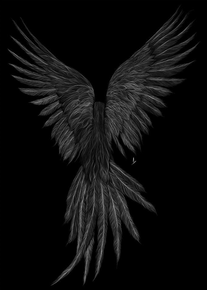 014 Bird