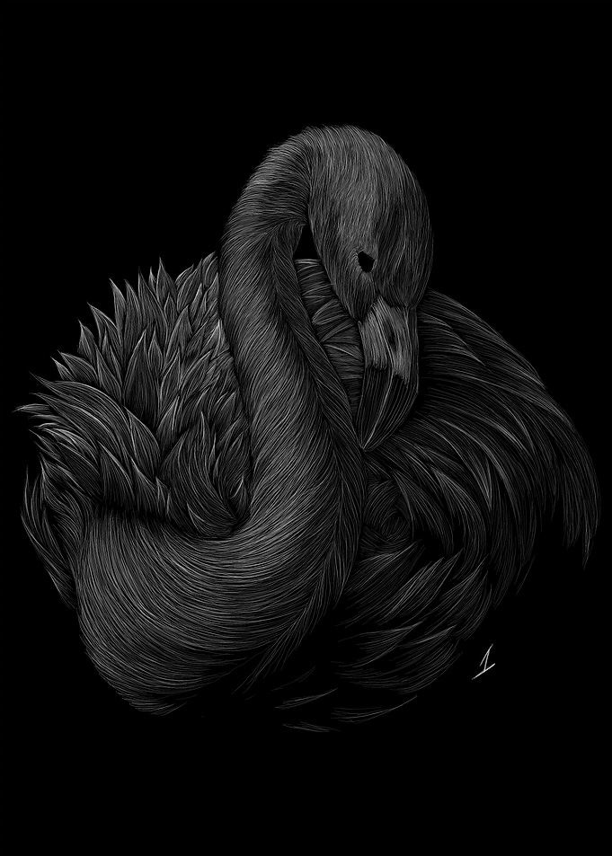 006 Flamingo