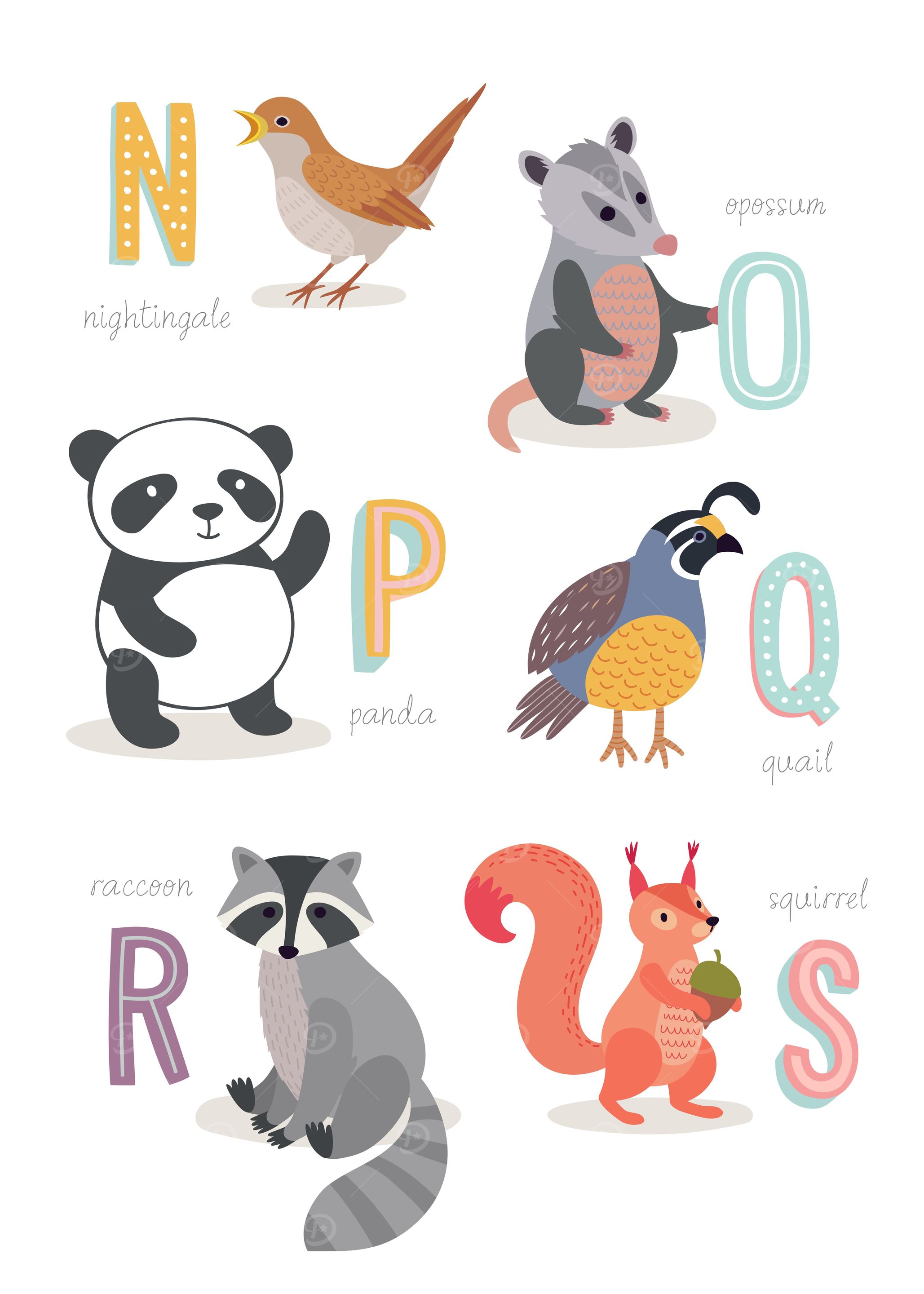 Animal Alphabet