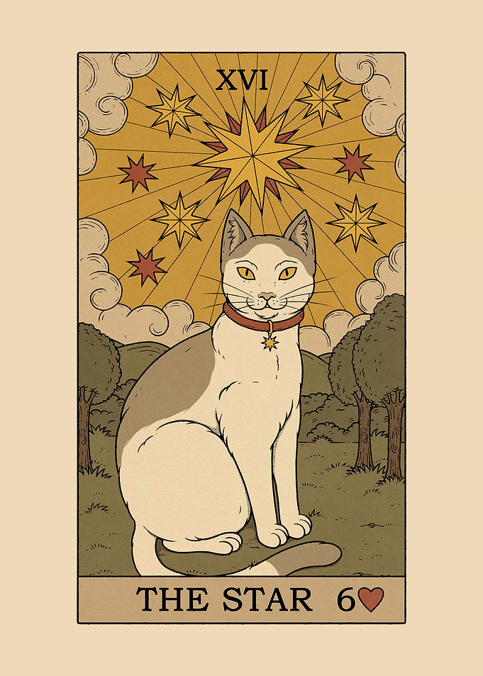 The Star Cat