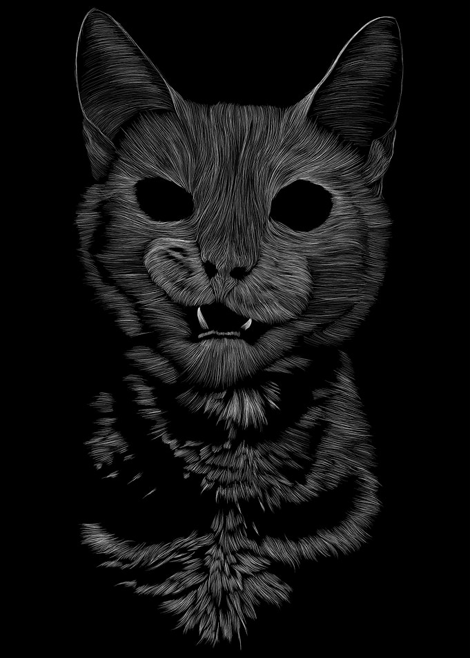 019 Cat