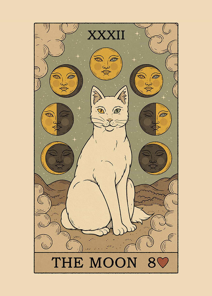 The Moon Cat