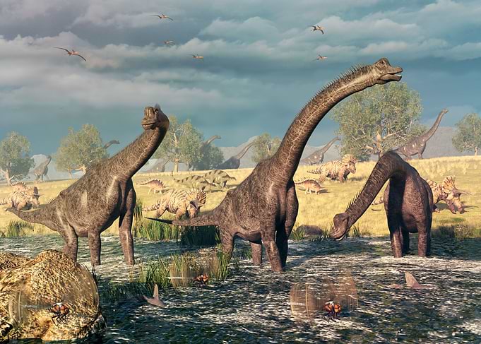 Brachiosaurus dinosaur