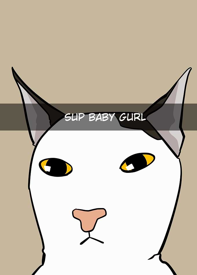funny cat meme