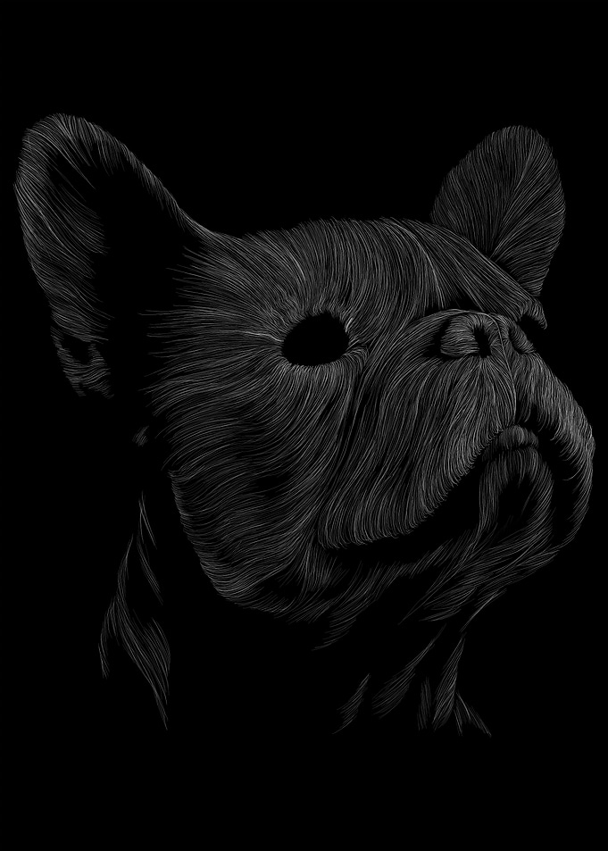 032 Dog