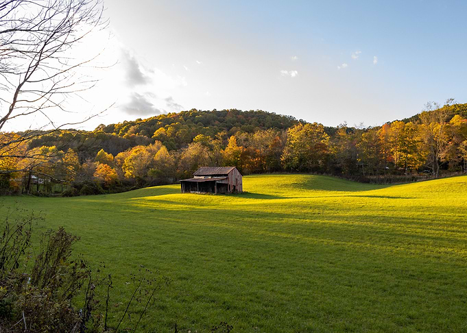 Sunset in the field