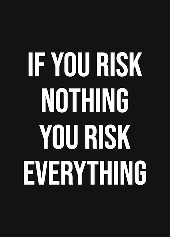 The Concept of Risk