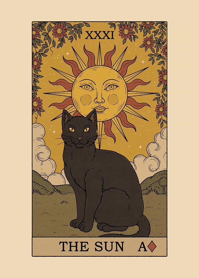 The Sun Cat