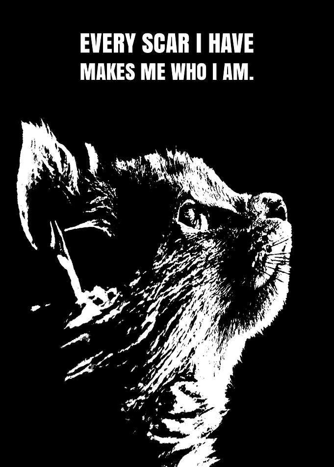 Inspirational Quotes