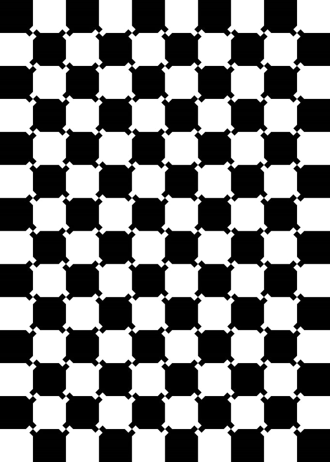 Black White Illusion