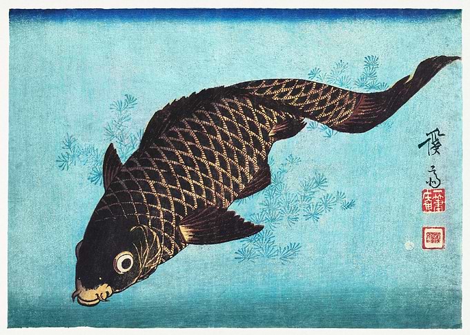 Koi 1842 Japanese fish